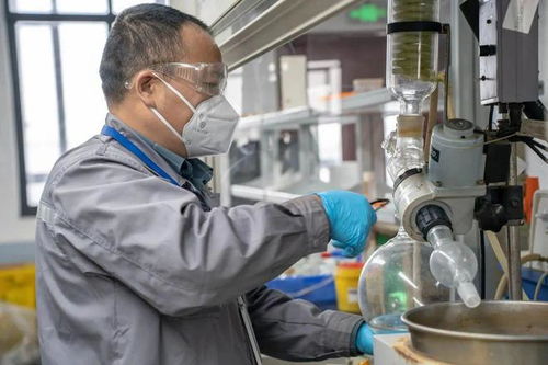 扎根幕后，奉獻(xiàn)最好技術(shù)服務(wù)——家校企社在地光芒行之工會(huì)站紀(jì)實(shí)